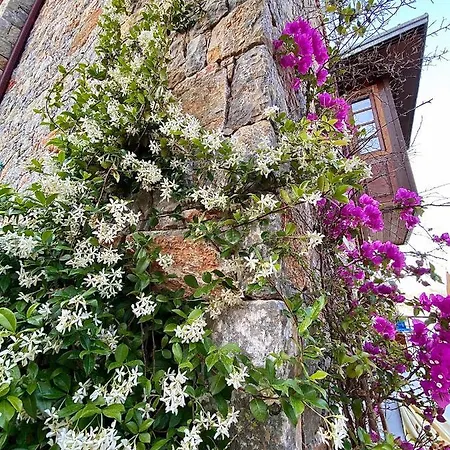 Bakacak Dom wakacyjny