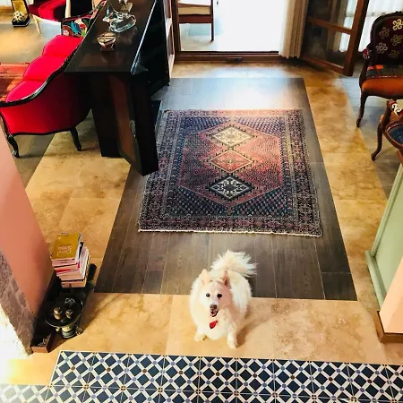 Dom wakacyjny Bakacak *